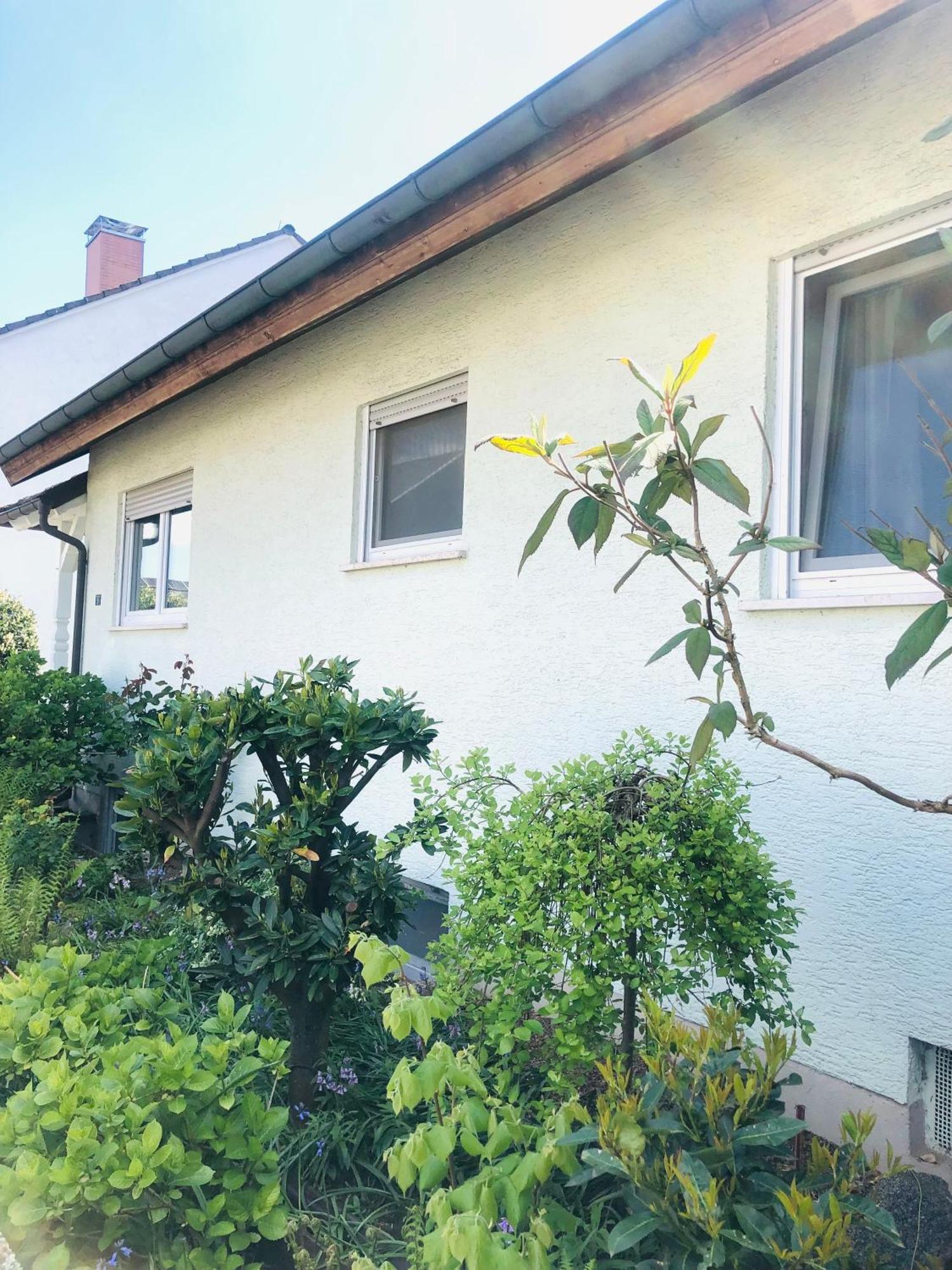 Ferienwohnung Feldmann Freckenfeld Exterior photo